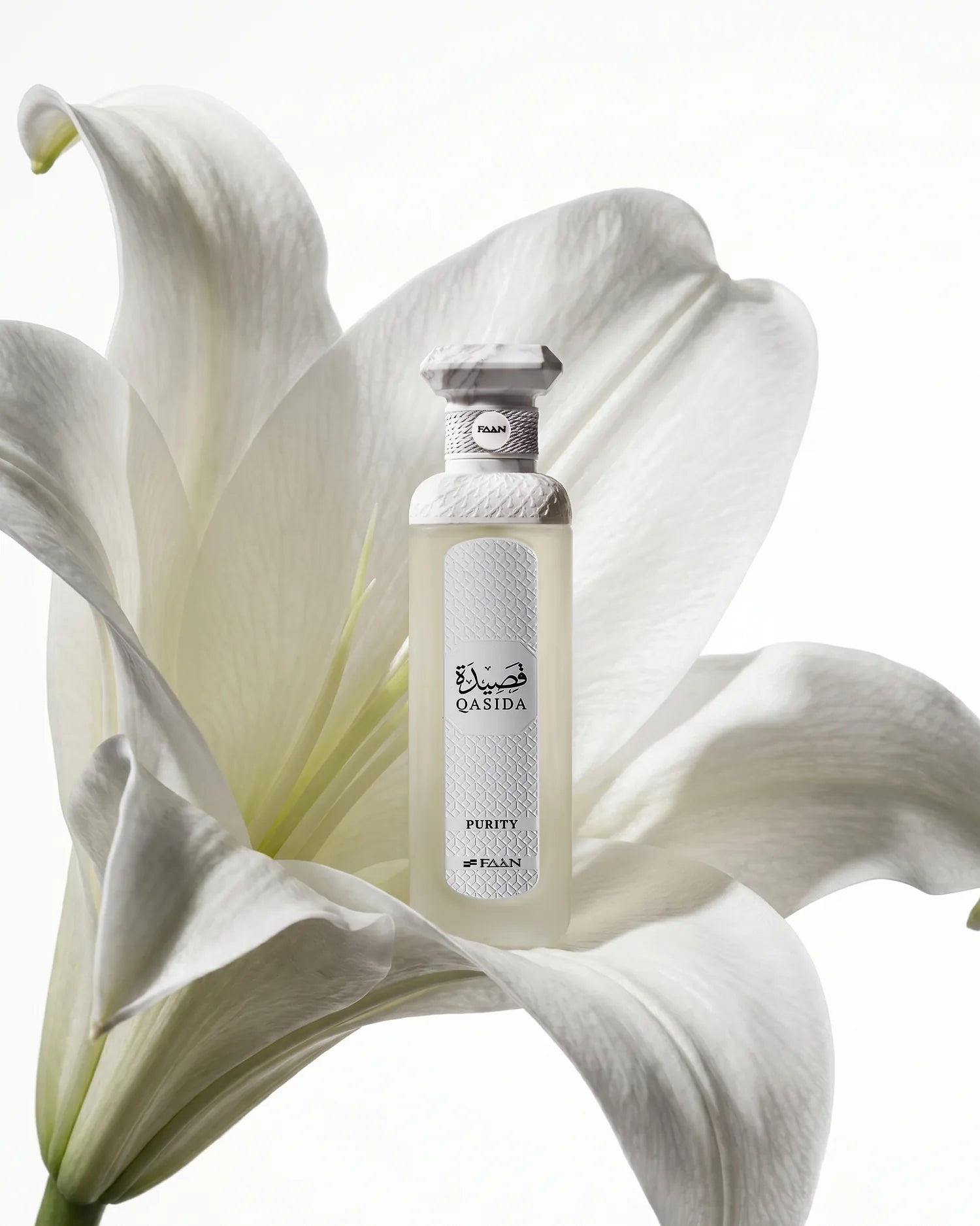 QASIDA PURITY campaign